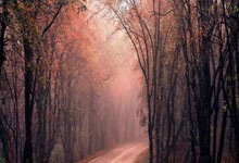 球友会体育：[德甲]第3轮：荷尔斯泰因基尔VS拜仁慕尼黑.