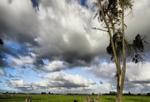 197厘米，赫伊森成为西班牙队史上身高并列最高的国脚.