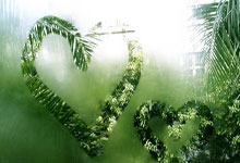 球友会体育：[德甲]第3轮：荷尔斯泰因基尔VS拜仁慕尼黑.