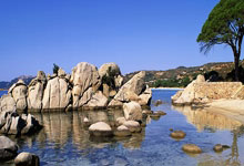 ATP1000印第安维尔斯站：布云朝克特首轮过关.